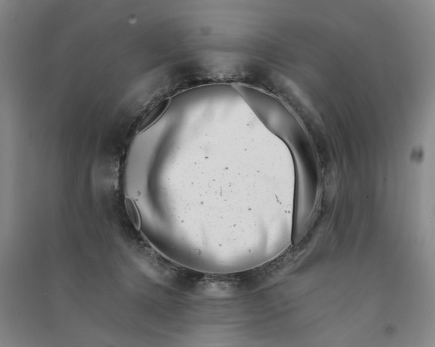 X0000090880368200708171650