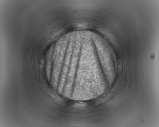 X0000090880369200708171650