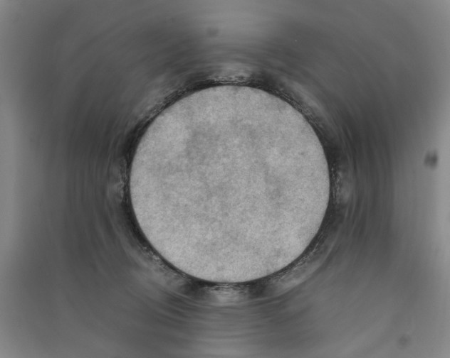 X0000090880370200708171650