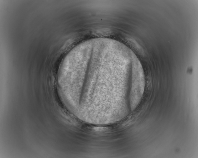 X0000090880371200708171650