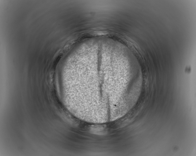 X0000090880373200708171650