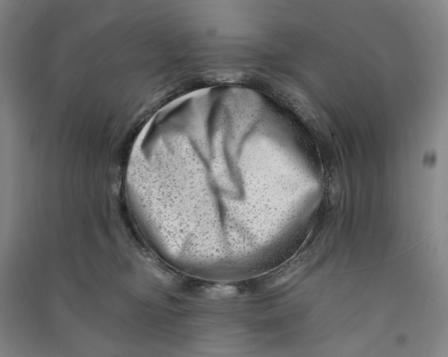 X0000090880374200708171650