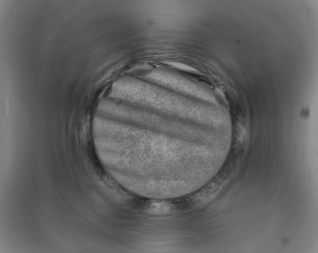 X0000090880376200708171650