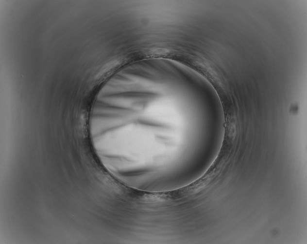 X0000090880378200708171650