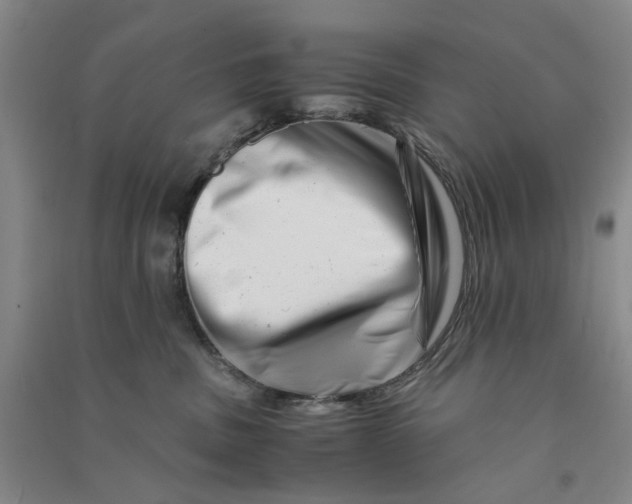 X0000090880379200708171650