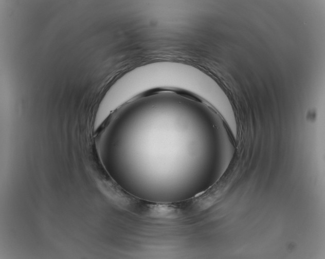 X0000090880380200708171650