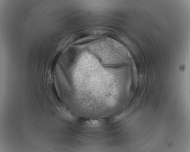 X0000090880381200708171650