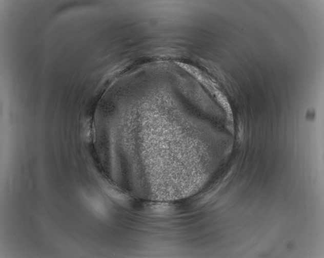 X0000090880383200708171650