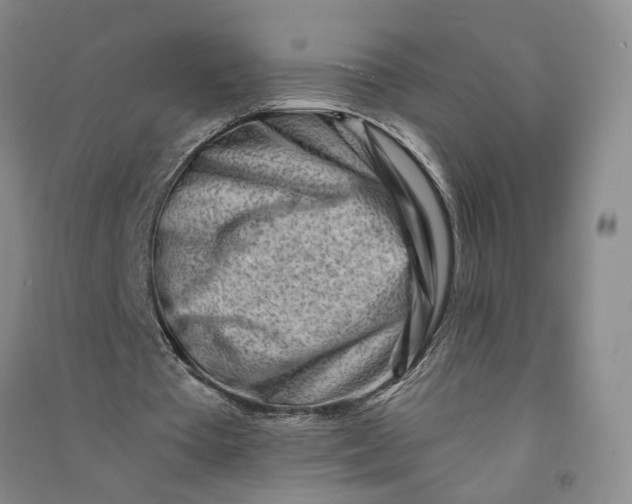 X0000090880385200708171650