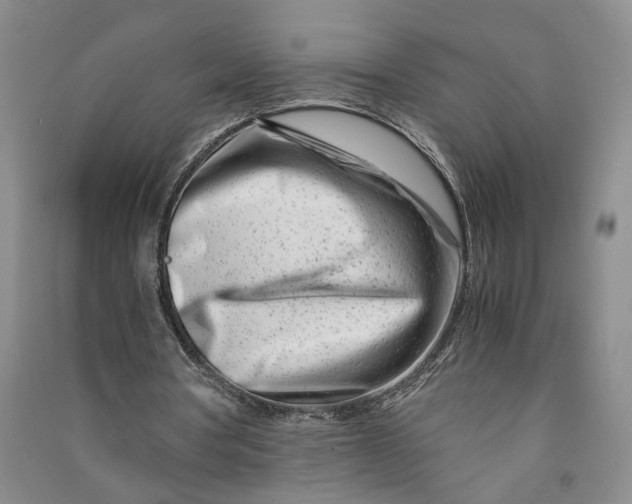 X0000090880386200708171650