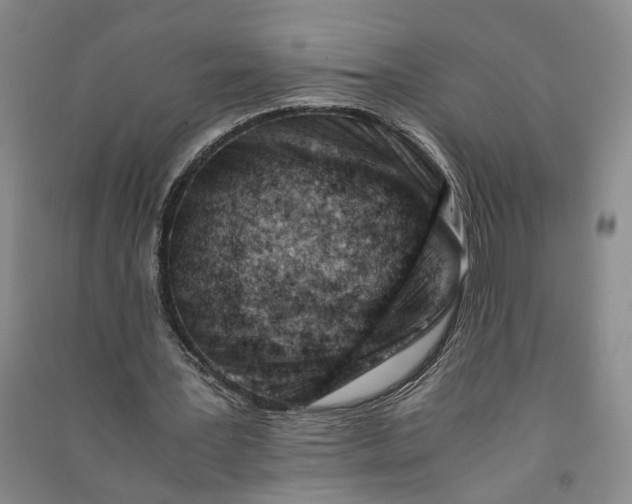 X0000090880387200708171650