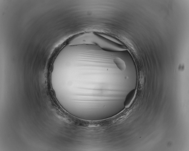 X0000090880388200708171650