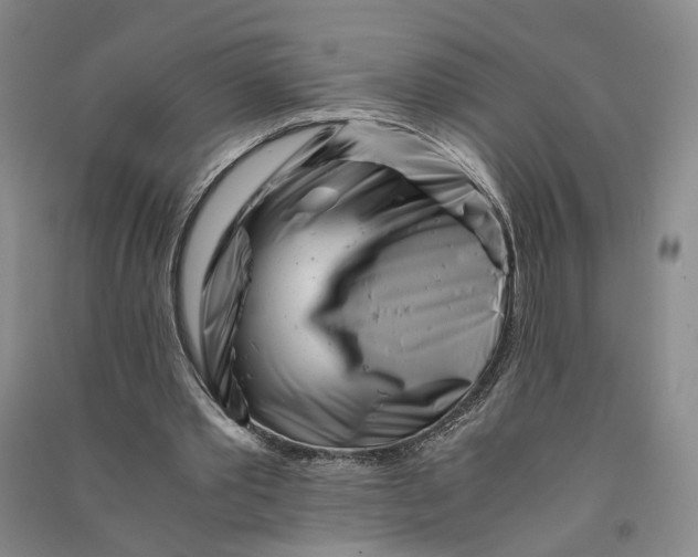 X0000090880389200708171649