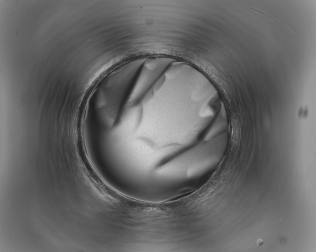 X0000090880390200708171649