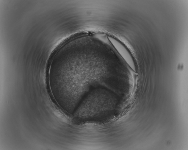 X0000090880391200708171649