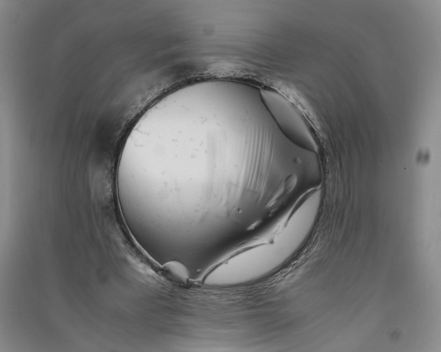 X0000090880393200708171649