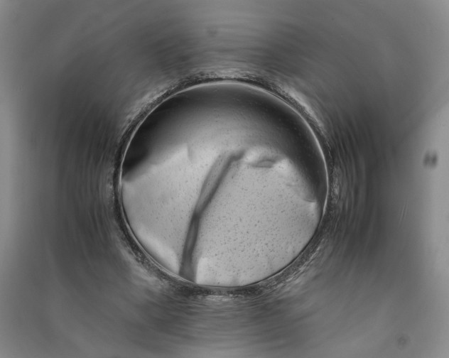 X0000090880394200708171649