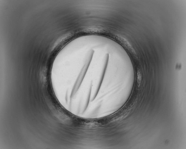 X0000090880396200708171649