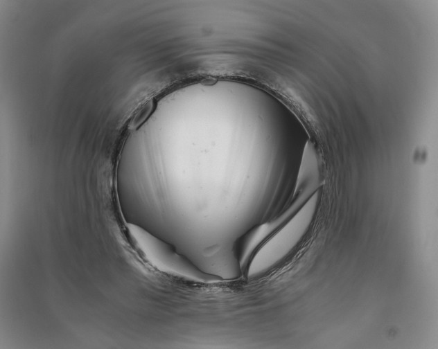 X0000090880397200708171649