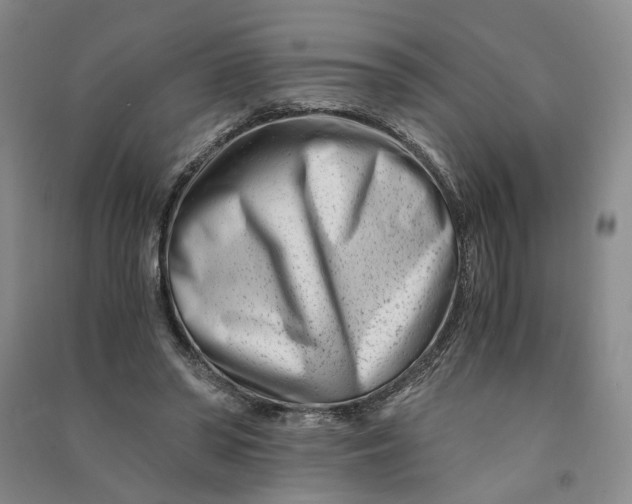 X0000090880398200708171649