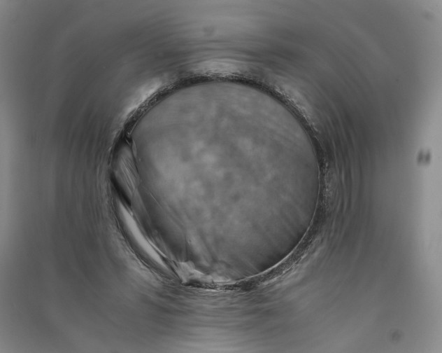 X0000090880399200708171649