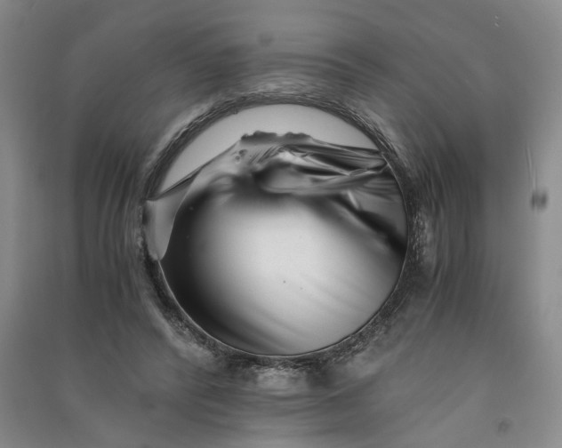 X0000090880400200708171649