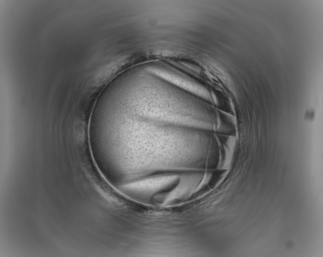 X0000090880401200708171649