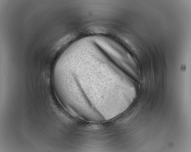 X0000090880402200708171649