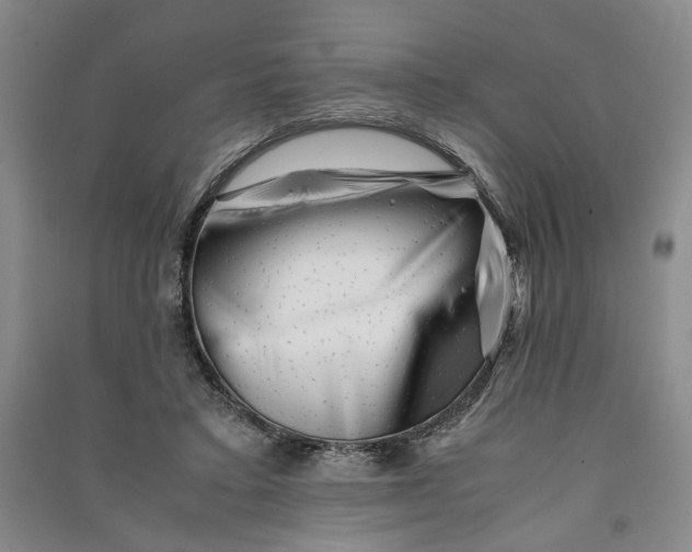 X0000090880403200708171649