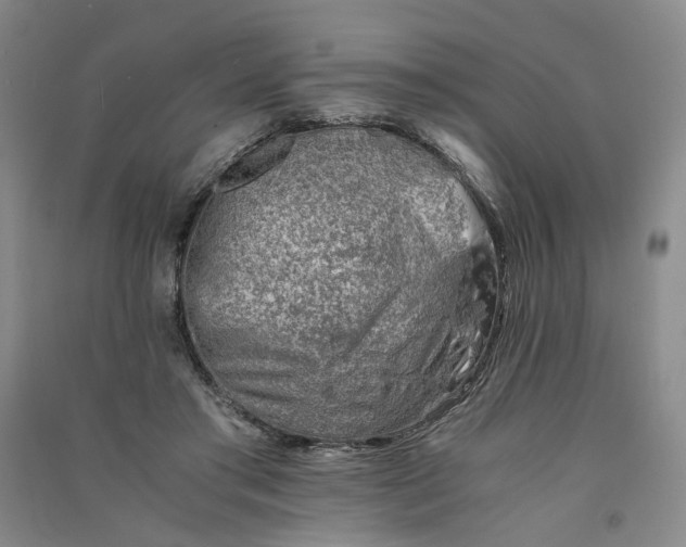 X0000090880405200708171649