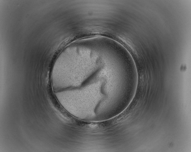 X0000090880406200708171649