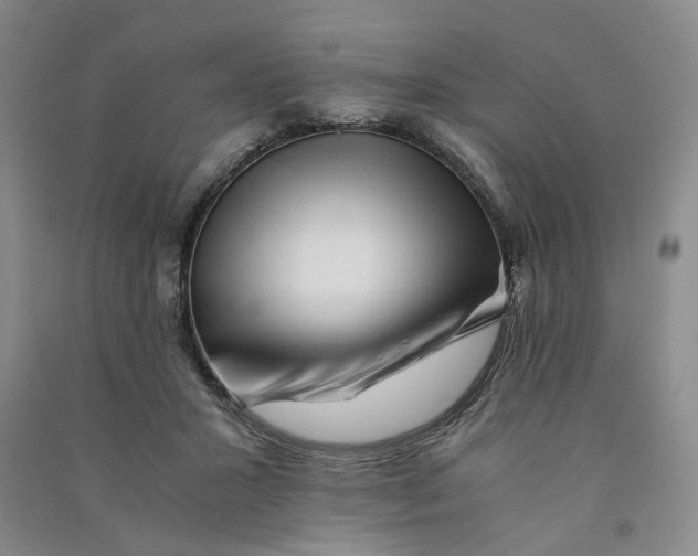 X0000090880407200708171649