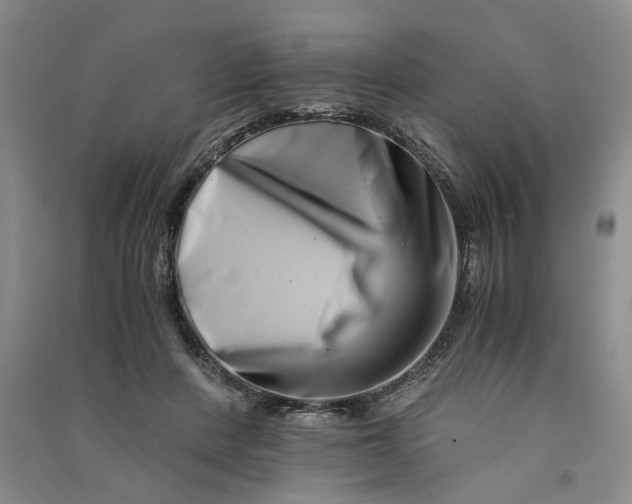 X0000090880408200708171649