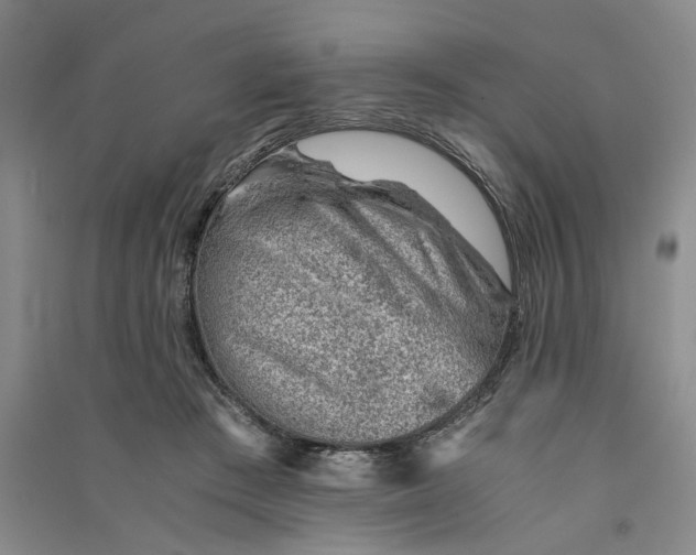 X0000090880409200708171649