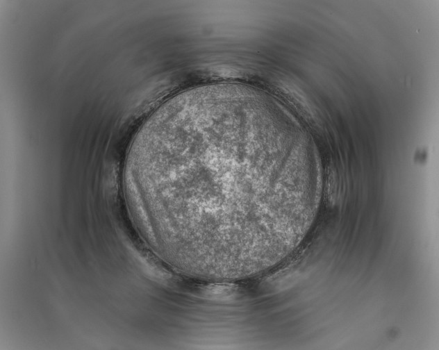 X0000090880410200708171649