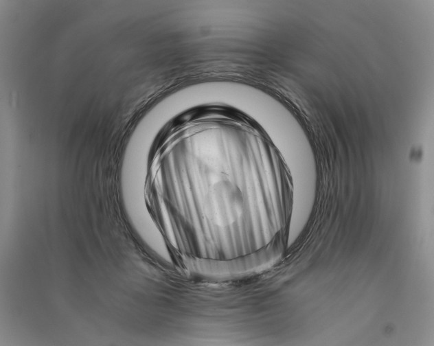 X0000090880411200708171649