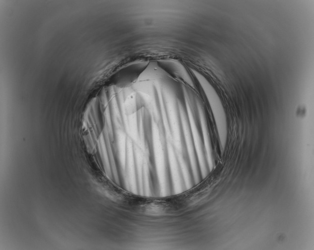 X0000090880412200708171649