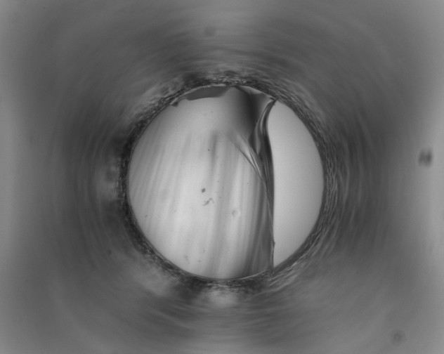 X0000090880416200708171649