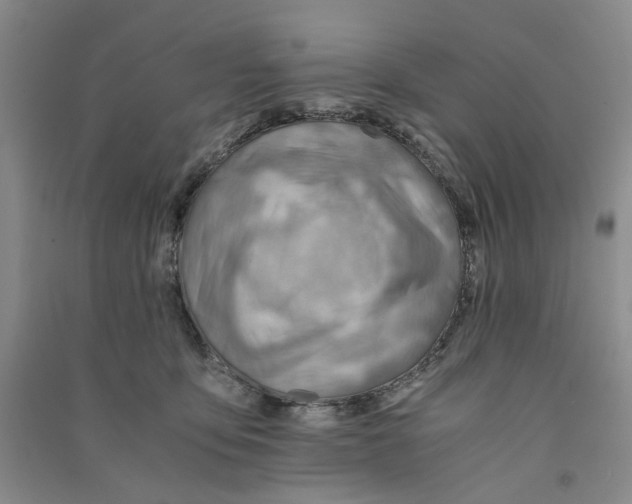 X0000090880419200708171649