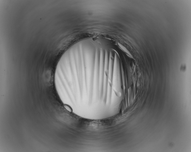 X0000090880420200708171649