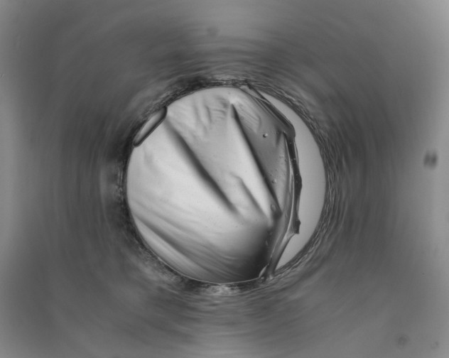 X0000090880421200708171649