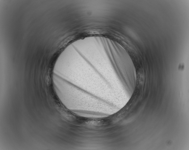 X0000090880422200708171649