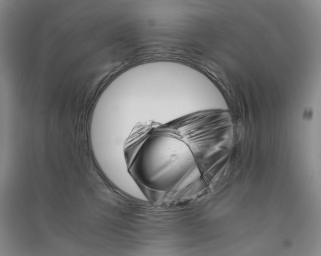 X0000090880423200708171649