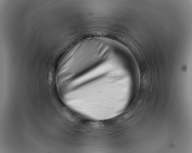 X0000090880424200708171649