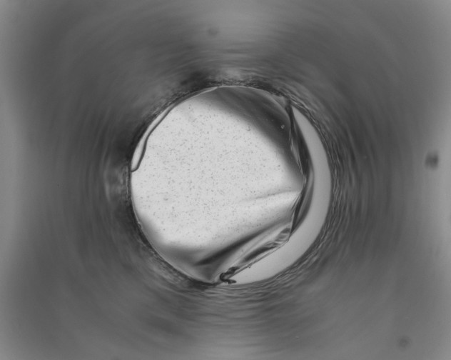 X0000090880425200708171649