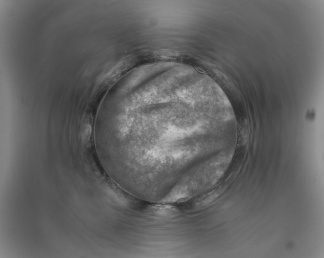 X0000090880427200708171649