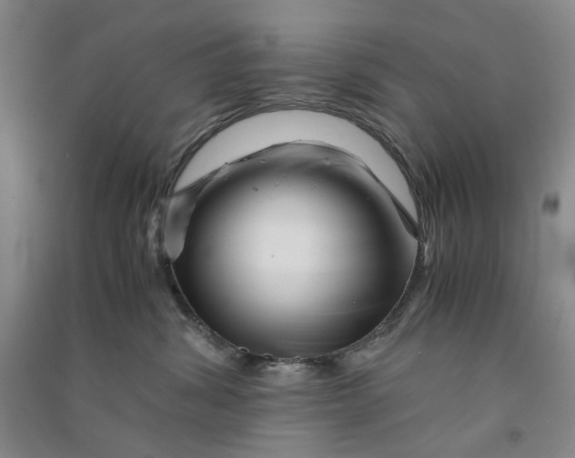 X0000090880428200708171649