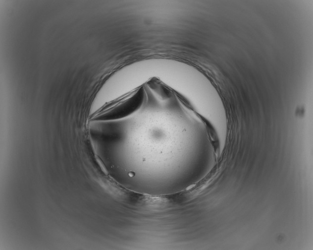 X0000090880429200708171649