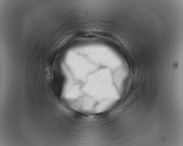 X0000090880430200708171649