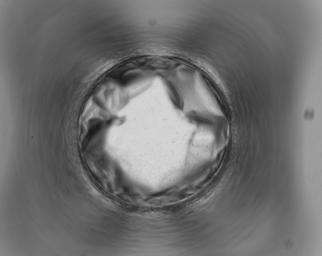 X0000090880433200708171648